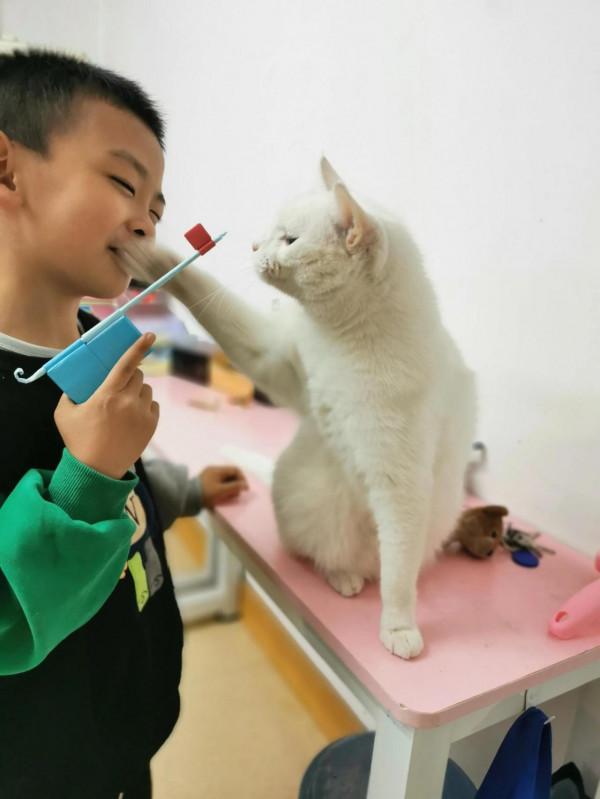 我們的毛孩子——端午 我們的毛孩子——端午