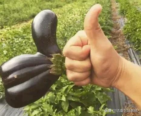 奇葩的&OpenCurlyDoubleQuote;藝術造型&rdquo;蔬菜！沒有神奇、只有更奇 &num;金粉社群&num;