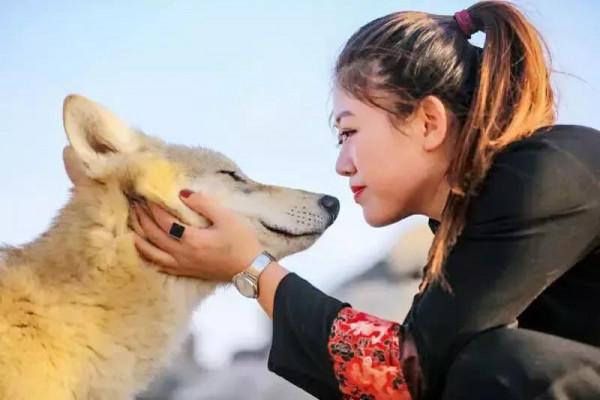 老人撿回生病狼崽，一年後，露出狼性本色，卻被村民當成了寶