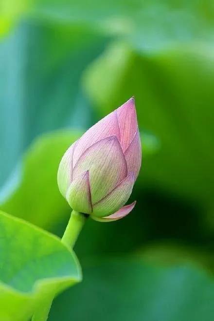 站樁100問││(體悟篇）為什麼站樁需要過五關(2）？