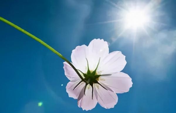 你是奧斯卡影帝嗎