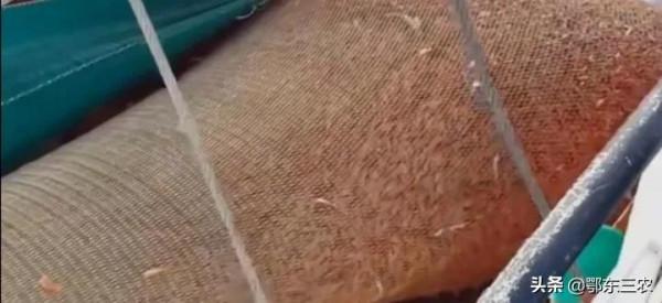 漁民在大海捕撈,下一次海能撈100多噸魚蝦上船立即冰凍,真賺錢 漁民在大海捕撈,下一次海能撈100多噸魚蝦上船立即冰凍,真賺錢