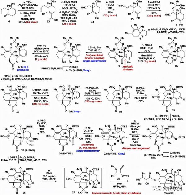 我國首家課題組完成紫杉醇的全合成!最難合成的天然產物分子之一 我國首家課題組完成紫杉醇的全合成!最難合成的天然產物分子之一