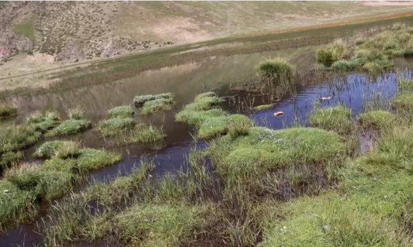 為什麼人類喝地球的水需要過濾,而其他任何生物可以直接直接喝水 為什麼人類喝地球的水需要過濾,而其他任何生物可以直接直接喝水