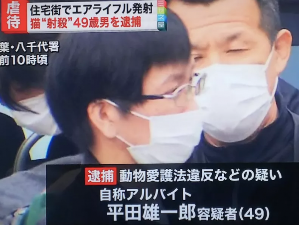 日本男3年虐殺近100只貓，被捕後毫無悔意：控制不住虐貓的愉悅