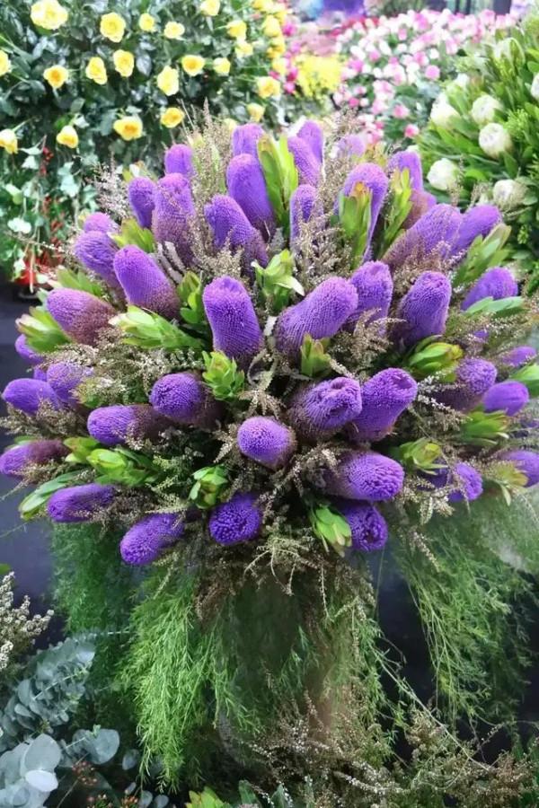 世界金獎醉美的花卉