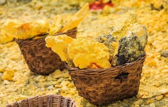 中藥（攻毒殺蟲止癢藥）本章節藥物劇毒，慎用