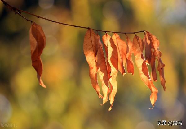 《尉繚子》原文 譯文(十七) 《尉繚子》原文 譯文(十七)