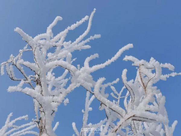 霧裡看凇｜冰城今日限定美景