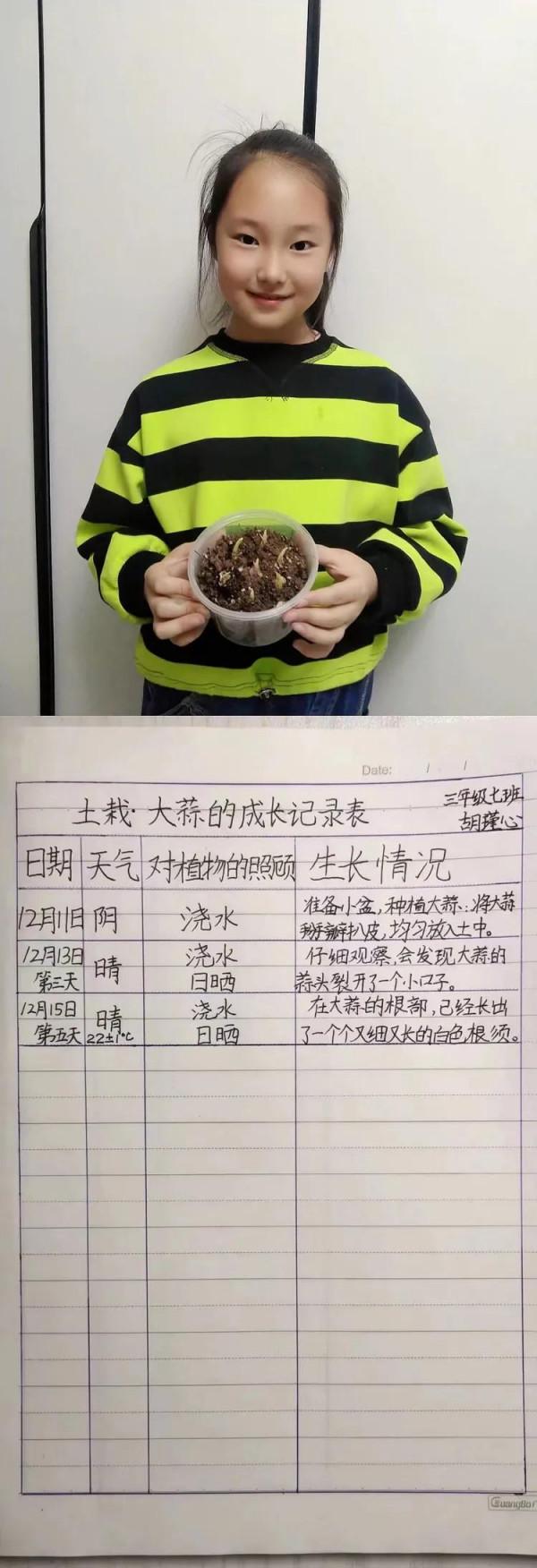 停課不停學“雙減”歡樂多植物種植小樂園（第一期）奇妙的種子