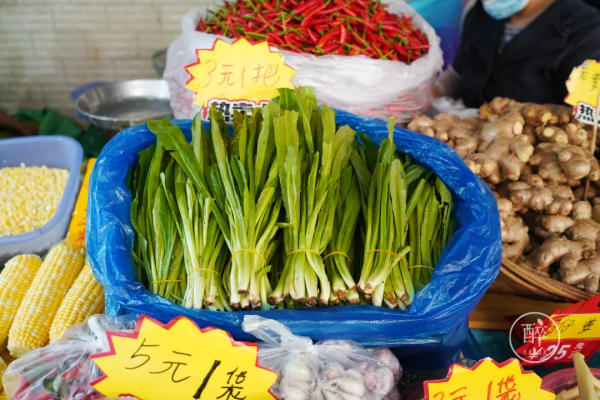 1小時飛攏的城市,有全國最好逛的市場 1小時飛攏的城市,有全國最好逛的市場