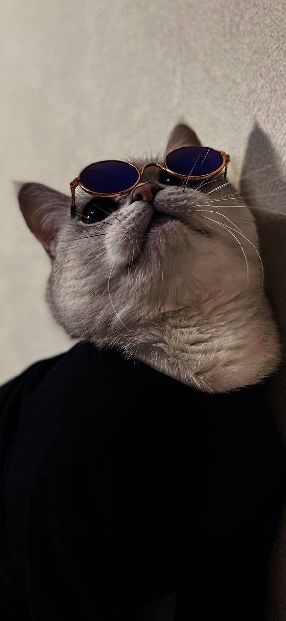 適合發朋友圈的文案