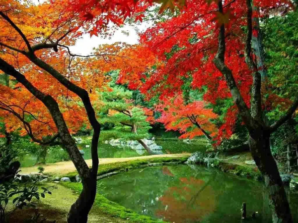 國內最值得一去的10個小眾旅行地，悠閒地呆上幾天，靜享美好