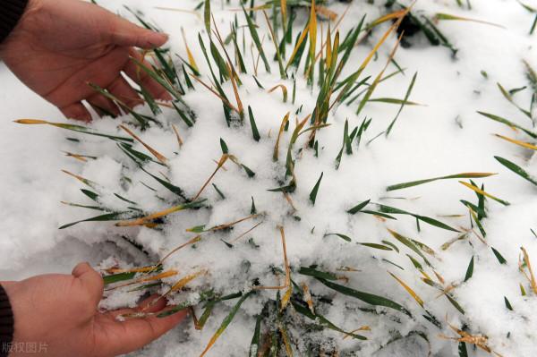 壞事!拉妮娜有多可怕?極端強降溫、冬春連旱又要來啦 壞事!拉妮娜有多可怕?極端強降溫、冬春連旱又要來啦