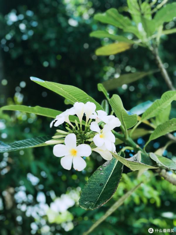 紀念一下普吉島最美海灘,奈涵,還有那奈涵最美酒店 紀念一下普吉島最美海灘,奈涵,還有那奈涵最美酒店