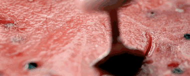 撐死在寧夏,嗝 撐死在寧夏,嗝