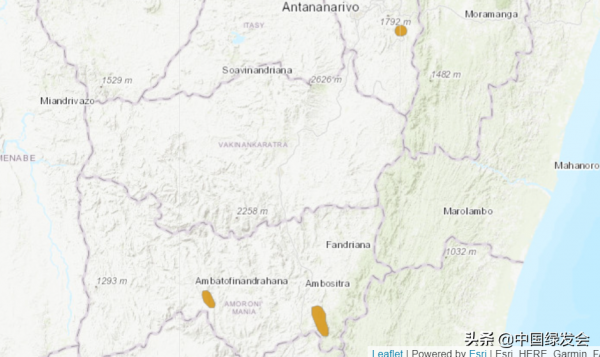 曼特蛙：色彩斑斕的&OpenCurlyDoubleQuote;小毒物&rdquo;&vert;綠會生物多樣性科普小課堂