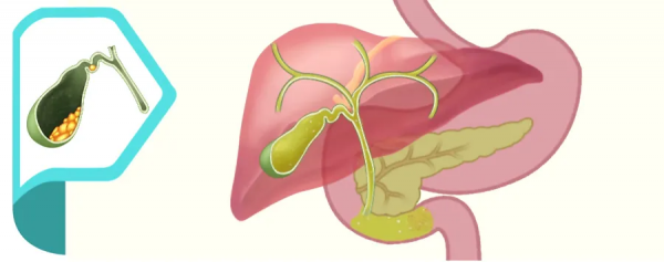 不吃主食來減肥,越減越肥危害不小;主食不能少,關鍵吃對吃好 不吃主食來減肥,越減越肥危害不小;主食不能少,關鍵吃對吃好