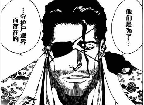 死神:最具有安全感的大叔——春水京樂 死神:最具有安全感的大叔——春水京樂