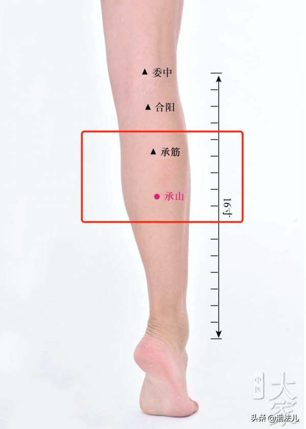 關於補鈣的那些事，你真的補對了嗎？這4個誤區很多人都中招了
