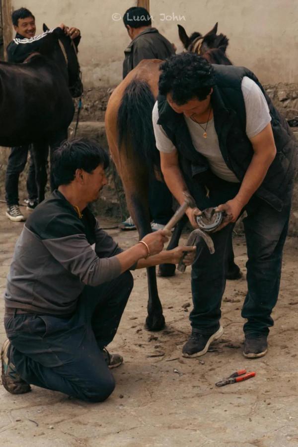 甘南｜人間仙境