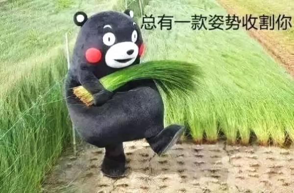 為什麼明星直播帶貨，都熱衷於賣白酒、化妝品？