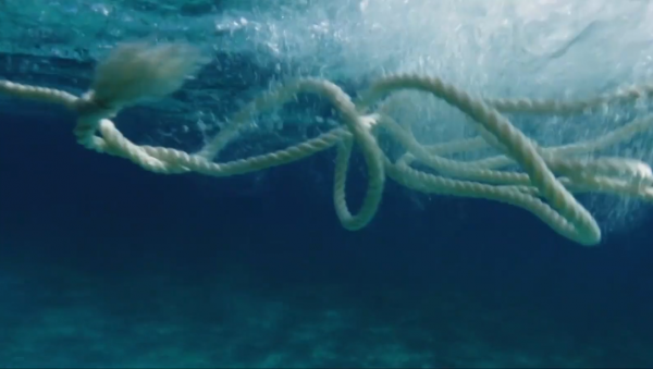 人類被鯊魚襲擊的生死瞬間：硬生生被撕扯掉右臂，看完不敢下海了