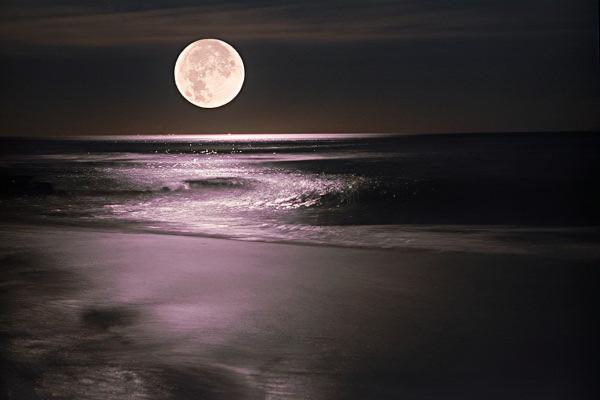 辛丑詠中秋詩詞五首