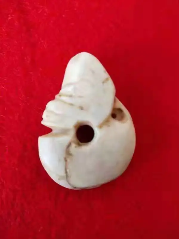 發現京西北 ‖ 玉豬龍:泥河灣博物館鎮館之寶 發現京西北 ‖ 玉豬龍:泥河灣博物館鎮館之寶