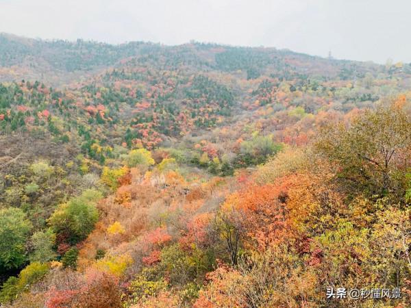 北京賞秋好去處，比香山人少，依山傍水而且還有漫山遍野的紅葉
