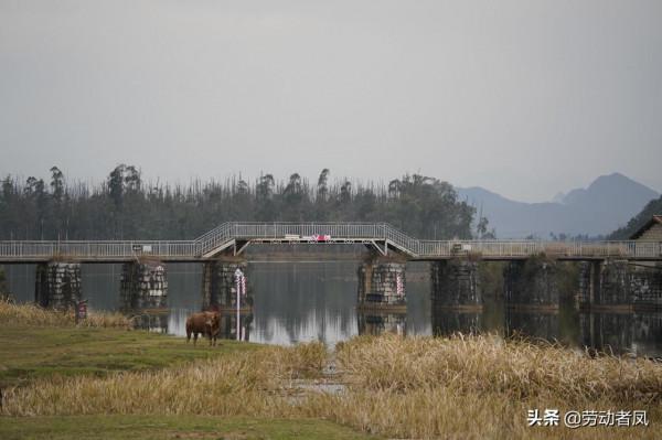 有朋自遠方來:唐DM-i車主帶唐DM-i和漢EV車主去秦車主家蹭飯 有朋自遠方來:唐DM-i車主帶唐DM-i和漢EV車主去秦車主家蹭飯