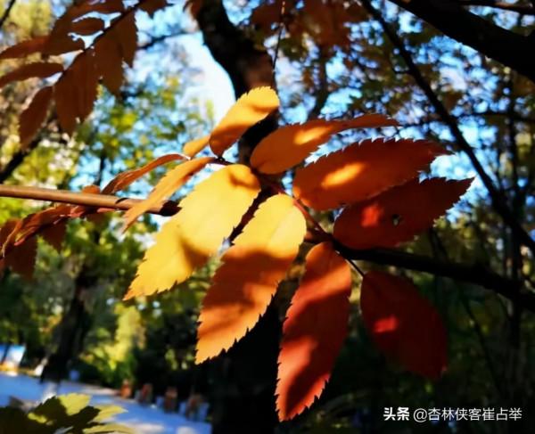 今天不講中醫，給大家分享一個小故事，聽後可能會改變你的生活