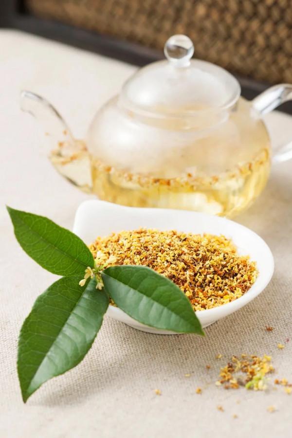 今日秋分：把成熟的甘甜釀入濃酒