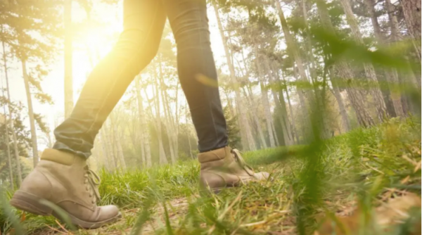 41歲女星分享了一種“簡單”的鍛鍊方式,讓她的體重大幅下降 41歲女星分享了一種“簡單”的鍛鍊方式,讓她的體重大幅下降