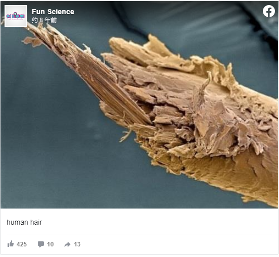 快來看看，我們的器官在顯微鏡下看起來是什麼樣子？