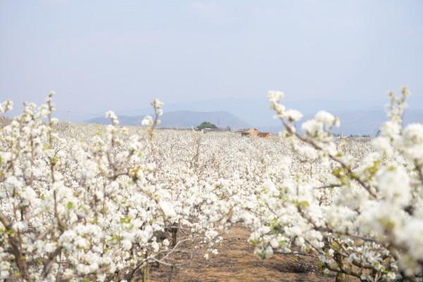 時光眼裡的雲南(全景篇) 時光眼裡的雲南(全景篇)