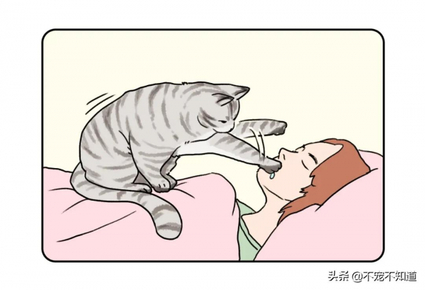 養貓前後對比，你是第幾個？