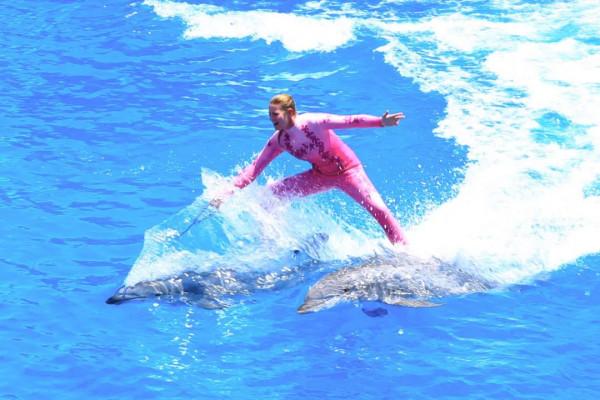 10年深度+豪華遊玩60國