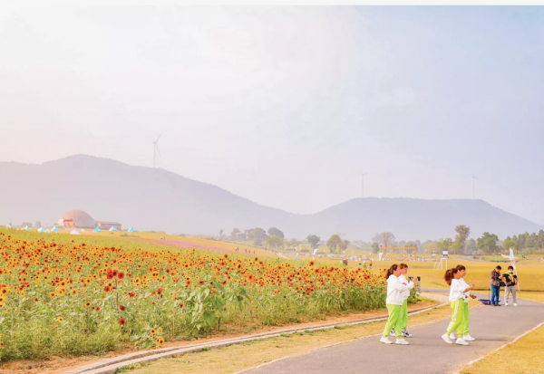 漫步鄉村，慢生活······