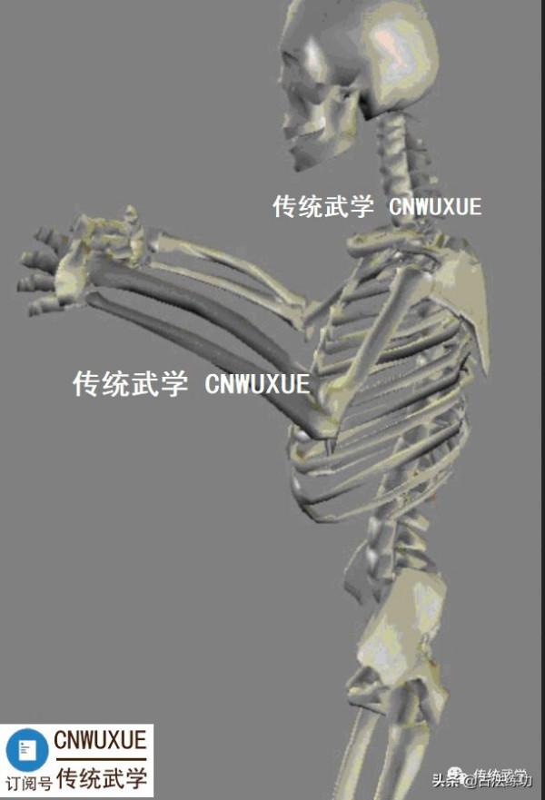 內家拳心法闡微