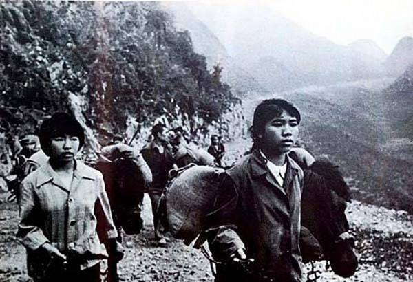 1984年,18歲女鄉長冒著越軍炮火,先後30多次帶民兵騾馬隊支前 1984年,18歲女鄉長冒著越軍炮火,先後30多次帶民兵騾馬隊支前