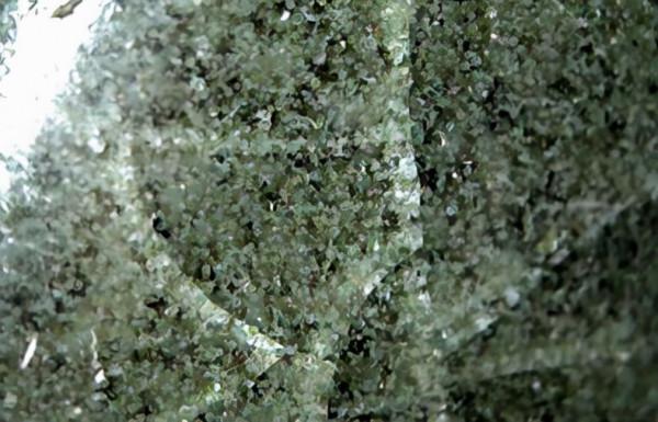 古陶瓷鑑賞術語圖文解析（二）