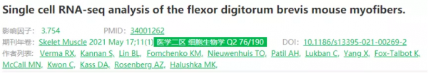 玩轉單細胞測序｜肌肉組織研究思路大揭秘