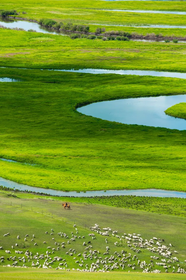 我去旅行，不是因為我有錢