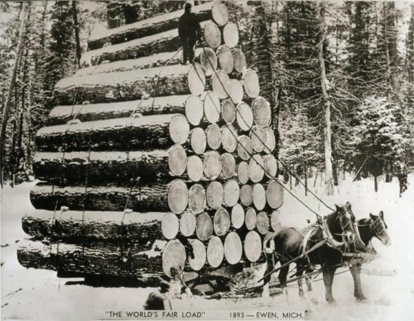 25張罕見的動物照片：折斷脖子的長頸鹿，會噴粉色墨汁的海兔