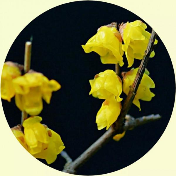 你的微信頭像該換了,美麗的風景,令人心曠神怡 你的微信頭像該換了,美麗的風景,令人心曠神怡