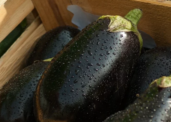 芹菜、玉米、茄子、牛奶，你是否白白扔掉了這些食物中的精華？