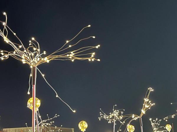 沒有煙花爆竹的大年有驚喜