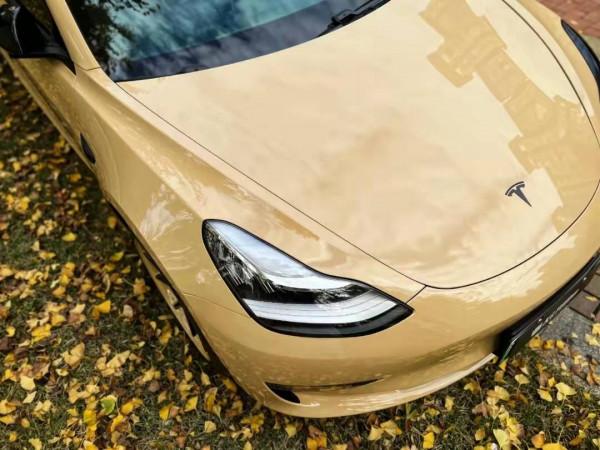 車身改色丨特斯拉冷門驚豔色挑選