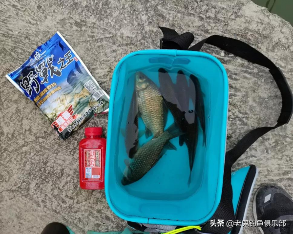 新釣點，野戰之王&CenterDot;腥香再顯神威
